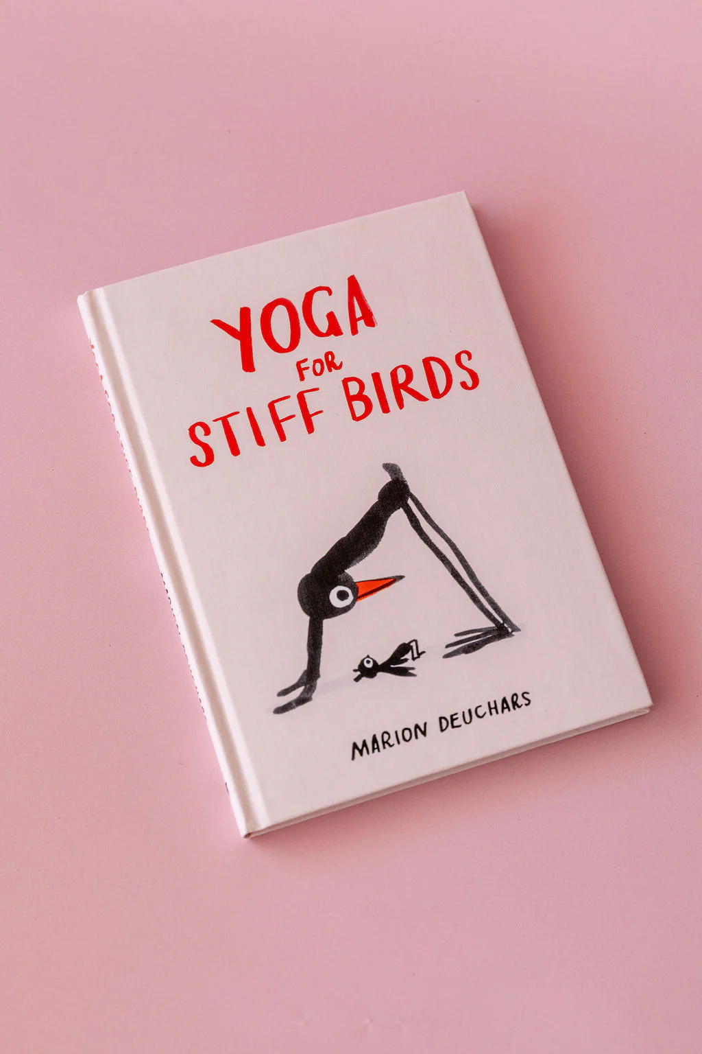 Yoga For Stiff Birds Book